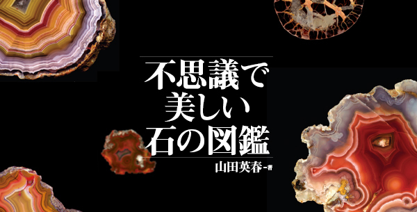 次の一手 大局観を磨いて接近戦に勝つ！ - 創元社