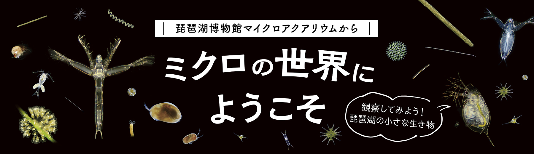 京都新聞出版センター
