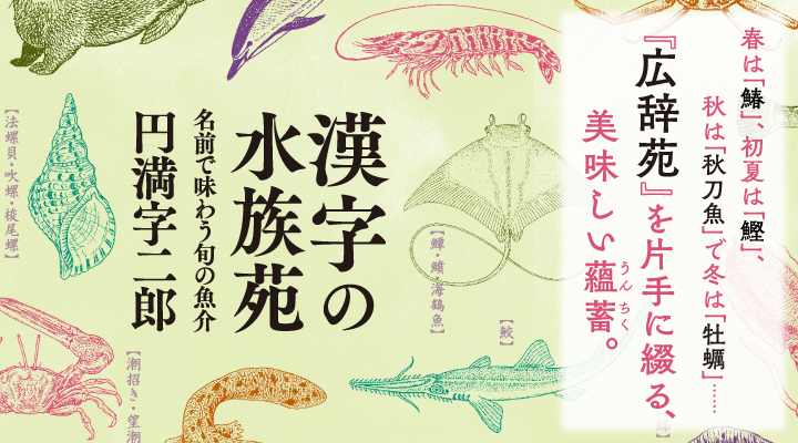 ⭐️値下げしました⭐️藤石全集 全十七巻 と月報岩波書店 岩波書店