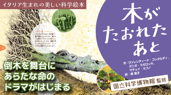 岩波書店