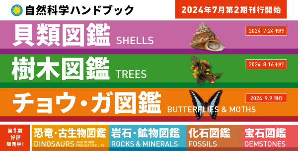 治験例を主とした針灸治療の実際 下巻 オンデマンド版 - 創元社