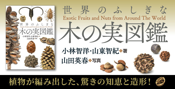 米朝落語全集 全8巻セット 増補改訂版 再録】落語を「読む」ということ ～『米朝落語全集 増補改訂版