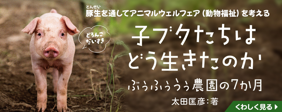 岩崎書店 少年少女ジュニア向け推理 名探偵・なぞをとく 初版 岩崎書店 少年少女ジュニア向け推理 名探偵・なぞをとく 初版